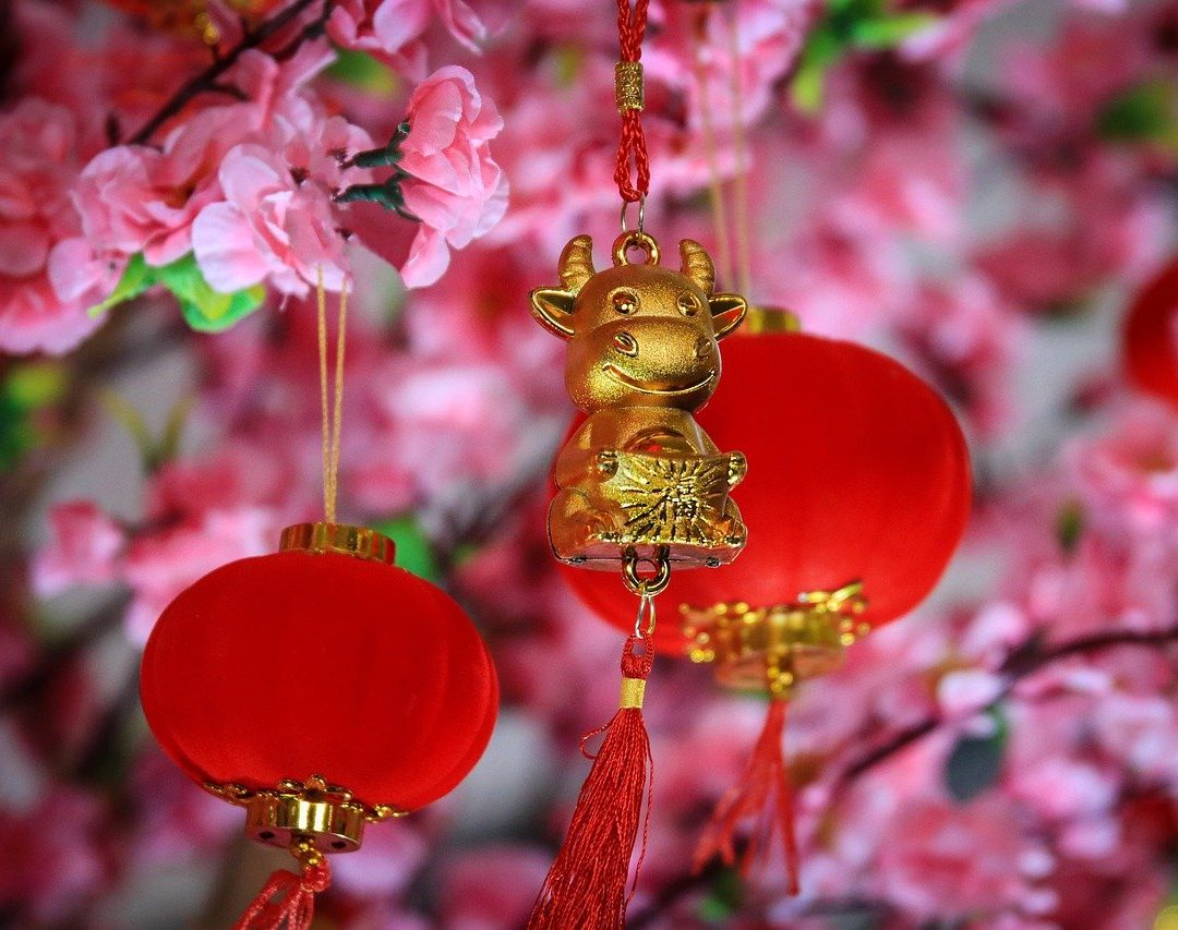 3 RECETAS CHINAS SIN GLUTEN para celebrar el Año Nuevo Chino